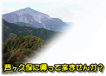 日向山から武甲山を望む